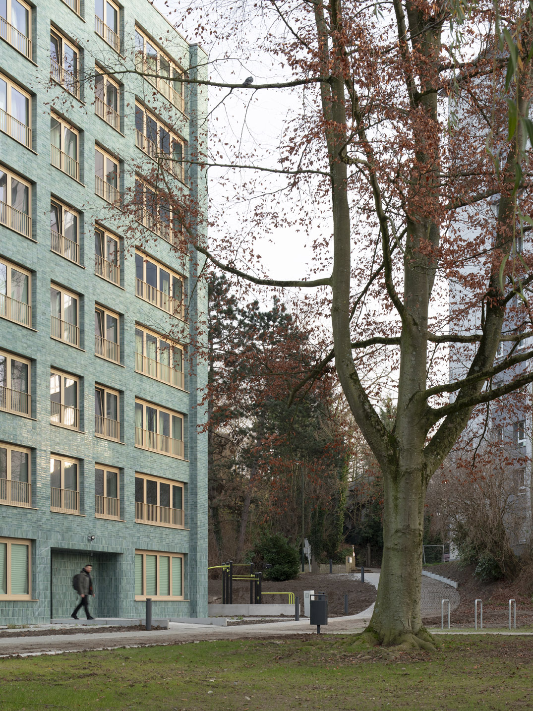 Réhabilitation de 46 logements sociaux à Bruxelles - FP ARCHITECTES Vue générale
