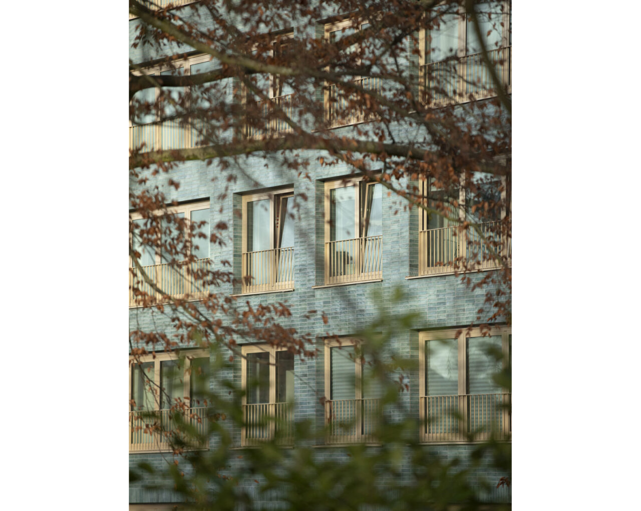 Réhabilitation de 46 logements sociaux à Bruxelles - FP ARCHITECTES Détail paysage